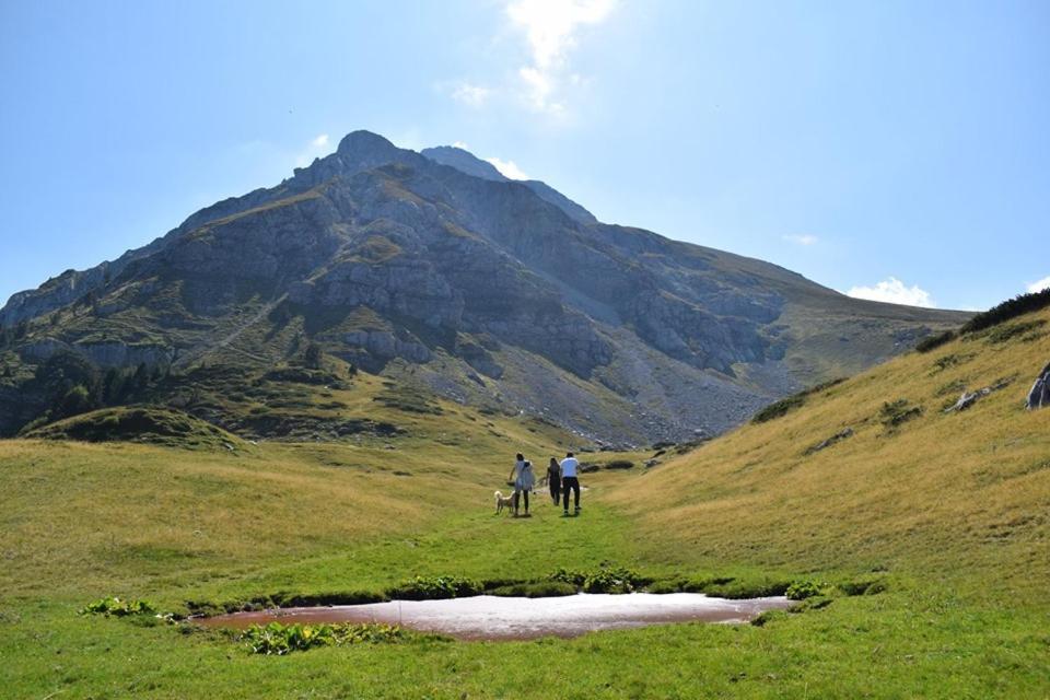 Komovi Eko Katun Martinovica 1750 * Kolašin
